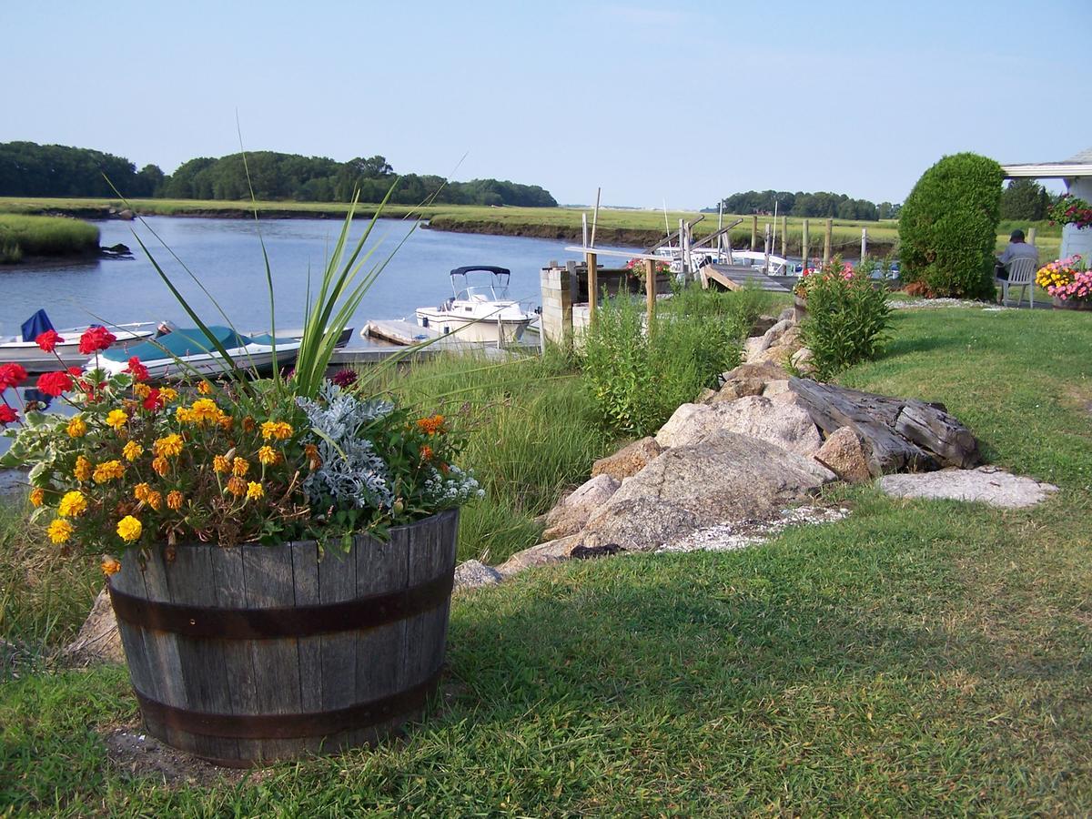 Shea'S Riverside Inn & Motel Essex Zewnętrze zdjęcie